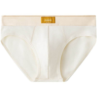 New Men's Cotton Briefs - Stylish Solid Colors, Sexy & Comfortable Fit - Buy Center