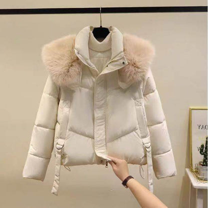 Women's Winter Black Cotton Padded Coat - Stylish, Warm, Chic Fur Collar - Buy Center